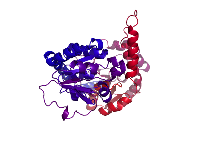 Protein visualized by PyMol OS