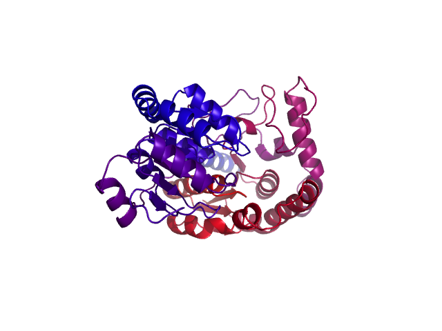 Protein visualized by PyMol OS