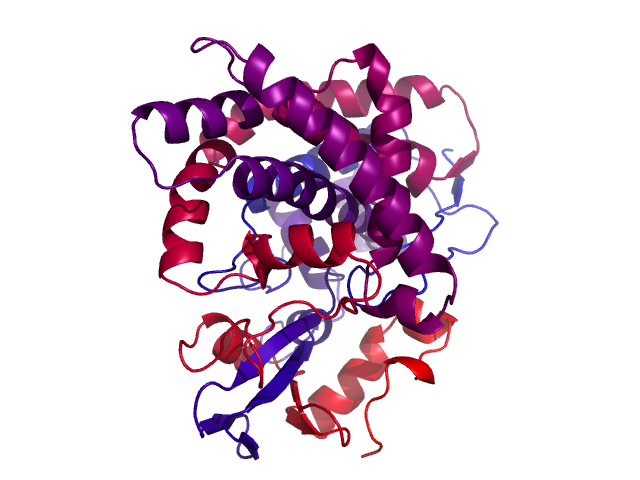 Protein visualized by PyMol OS