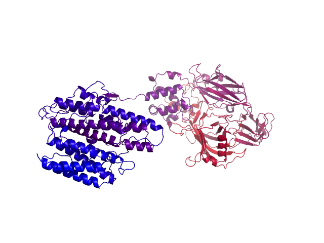 Protein visualized by PyMol OS