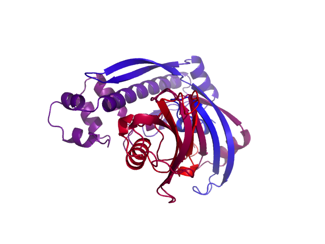 Protein visualized by PyMol OS