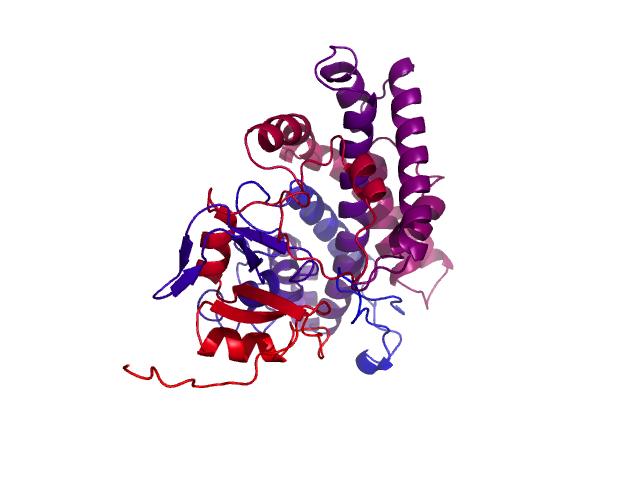 Protein visualized by PyMol OS