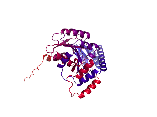 Protein visualized by PyMol OS