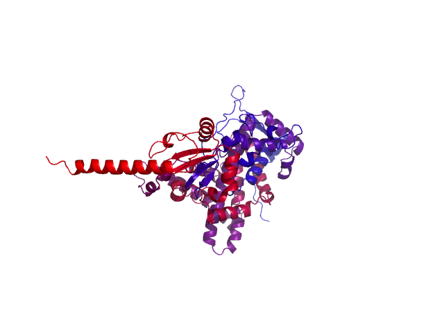 Protein visualized by PyMol OS
