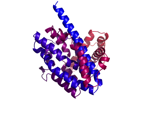 Protein visualized by PyMol OS