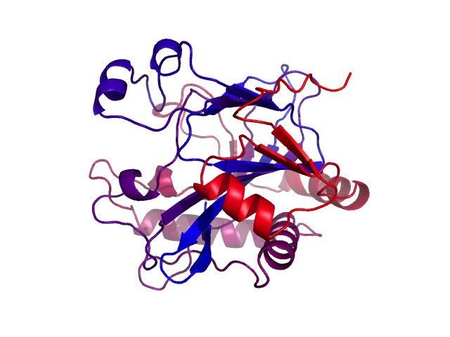 Protein visualized by PyMol OS
