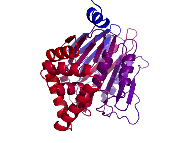 Protein visualized by PyMol OS