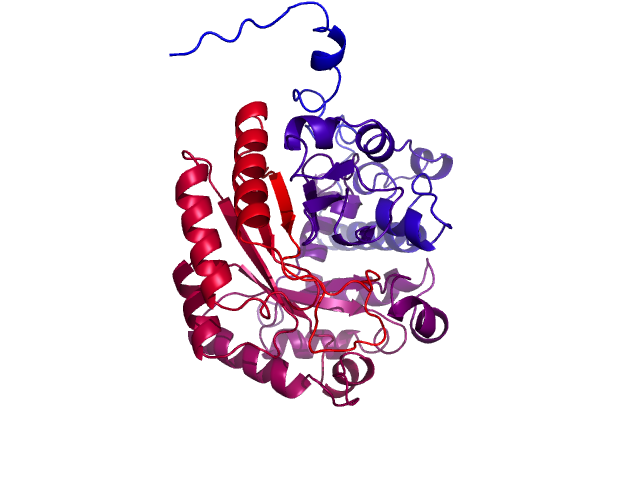 Protein visualized by PyMol OS
