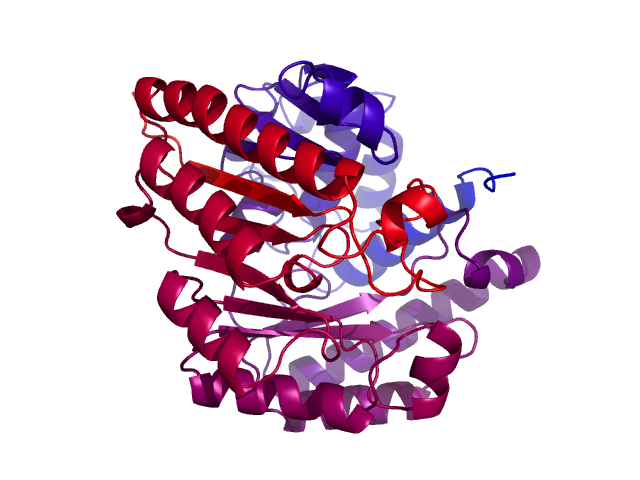 Protein visualized by PyMol OS