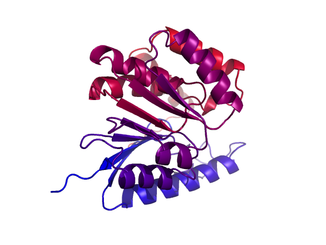 Protein visualized by PyMol OS