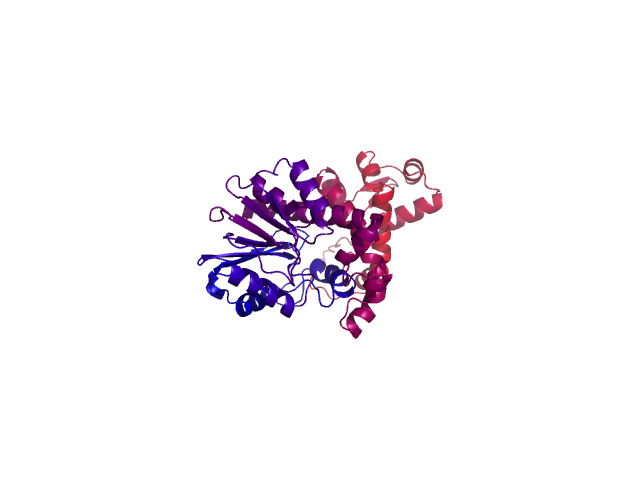 Protein visualized by PyMol OS