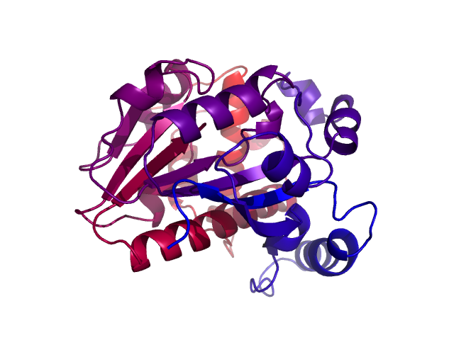 Protein visualized by PyMol OS