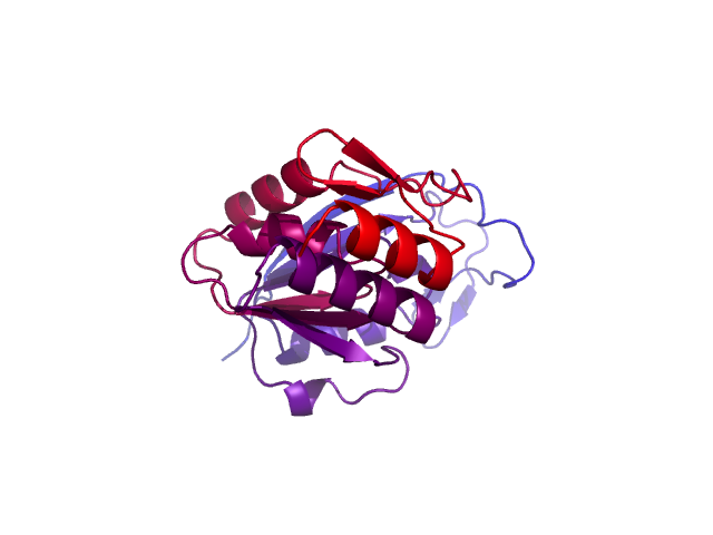 Protein visualized by PyMol OS