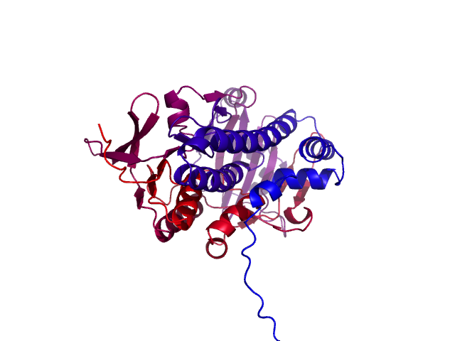 Protein visualized by PyMol OS
