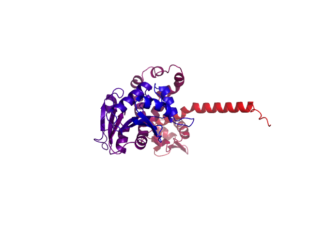 Protein visualized by PyMol OS