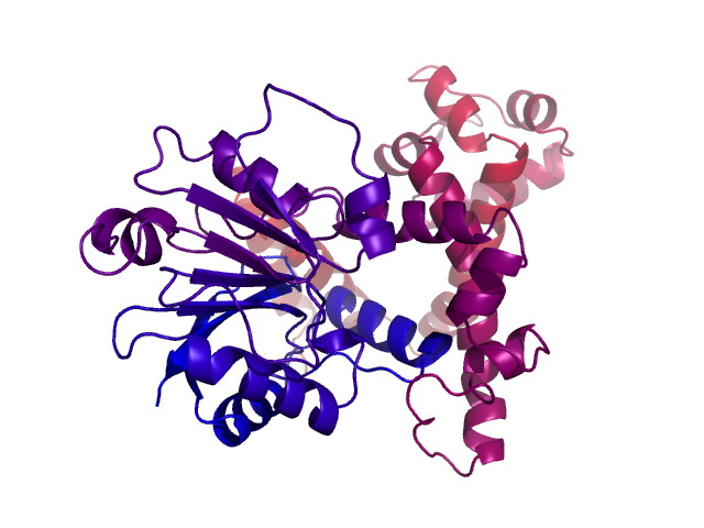 Protein visualized by PyMol OS