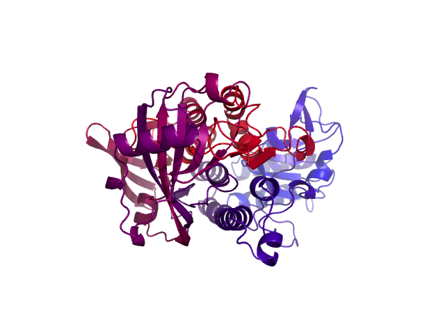 Protein visualized by PyMol OS