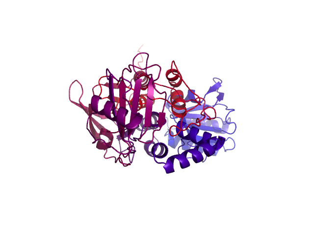 Protein visualized by PyMol OS