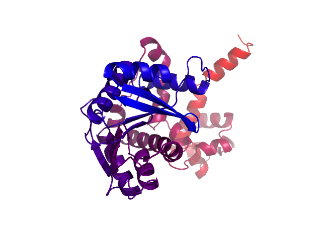 Protein visualized by PyMol OS