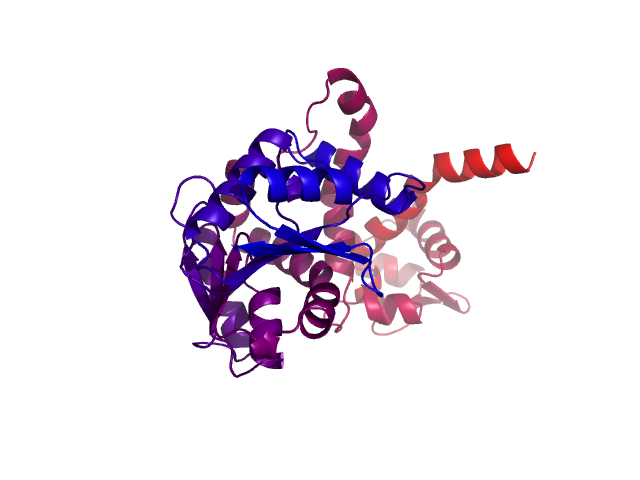 Protein visualized by PyMol OS