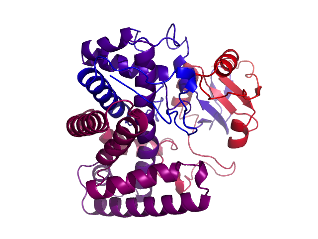 Protein visualized by PyMol OS