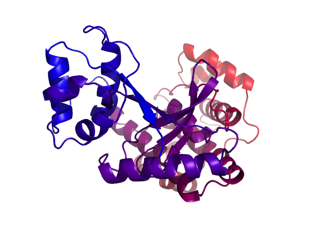 Protein visualized by PyMol OS