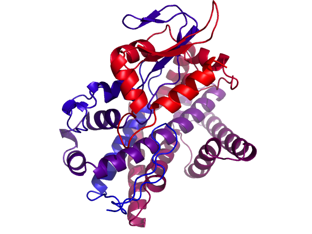 Protein visualized by PyMol OS