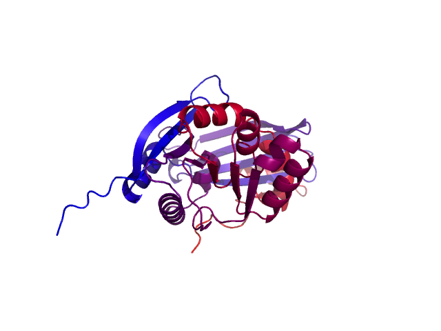 Protein visualized by PyMol OS