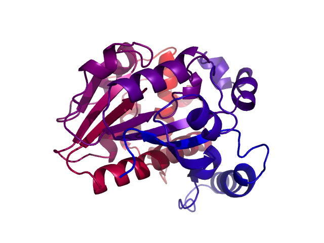 Protein visualized by PyMol OS