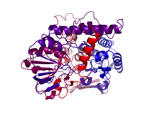 Protein visualized by PyMol OS