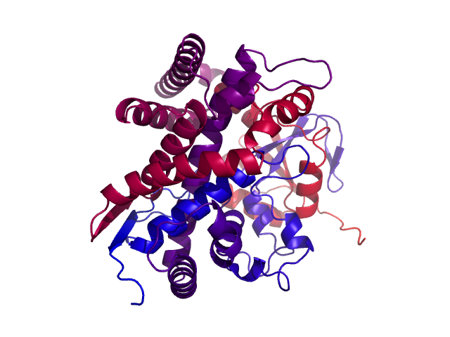 Protein visualized by PyMol OS