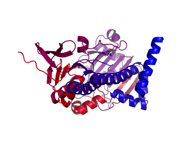 Protein visualized by PyMol OS