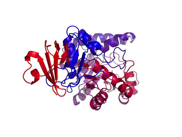 Protein visualized by PyMol OS