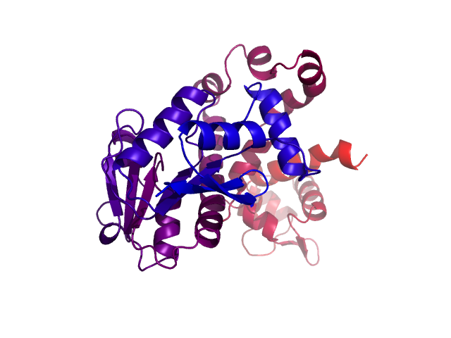 Protein visualized by PyMol OS