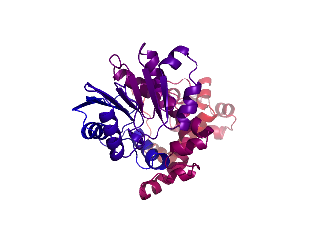 Protein visualized by PyMol OS