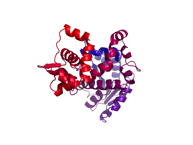 Protein visualized by PyMol OS