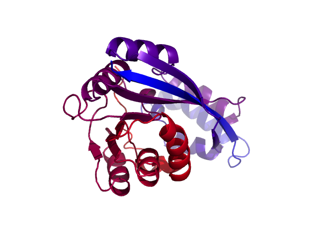 Protein visualized by PyMol OS