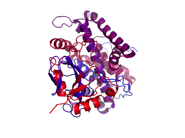Protein visualized by PyMol OS
