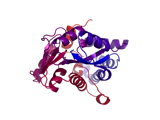 Protein visualized by PyMol OS