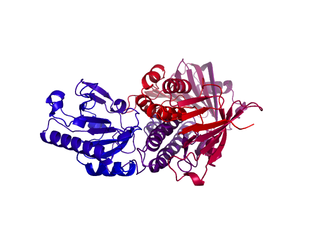 Protein visualized by PyMol OS