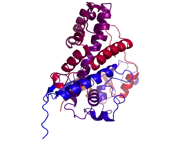 Protein visualized by PyMol OS