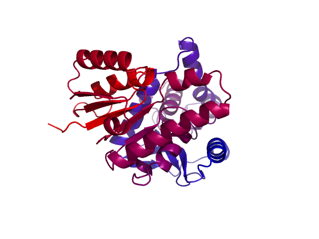 Protein visualized by PyMol OS