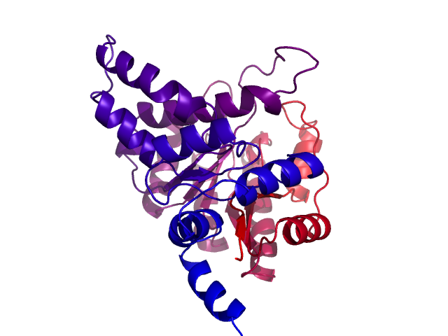 Protein visualized by PyMol OS
