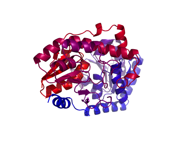 Protein visualized by PyMol OS