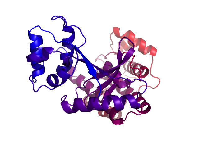 Protein visualized by PyMol OS