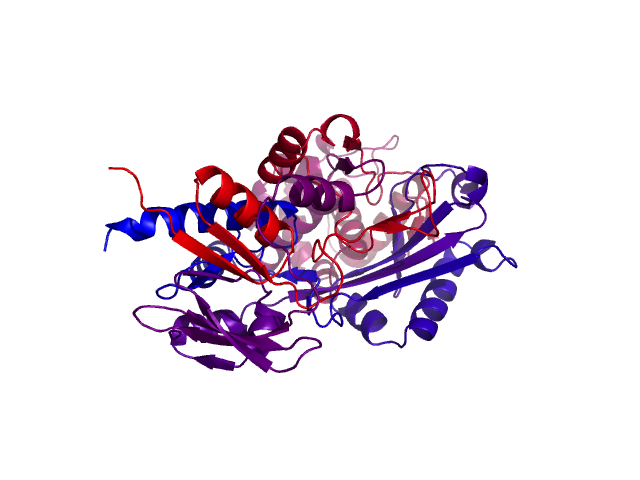 Protein visualized by PyMol OS