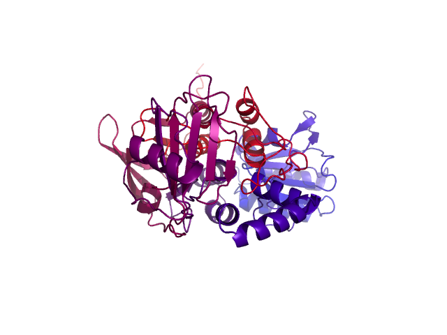 Protein visualized by PyMol OS