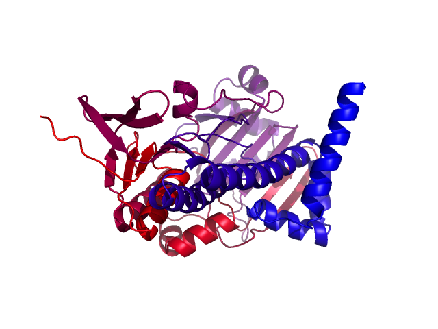 Protein visualized by PyMol OS